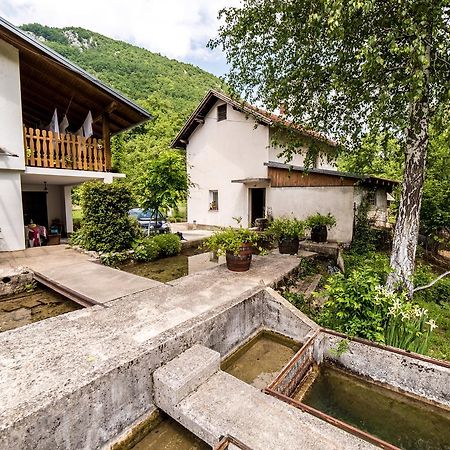 Bihać Eko House Dobrenicaヴィラ エクステリア 写真