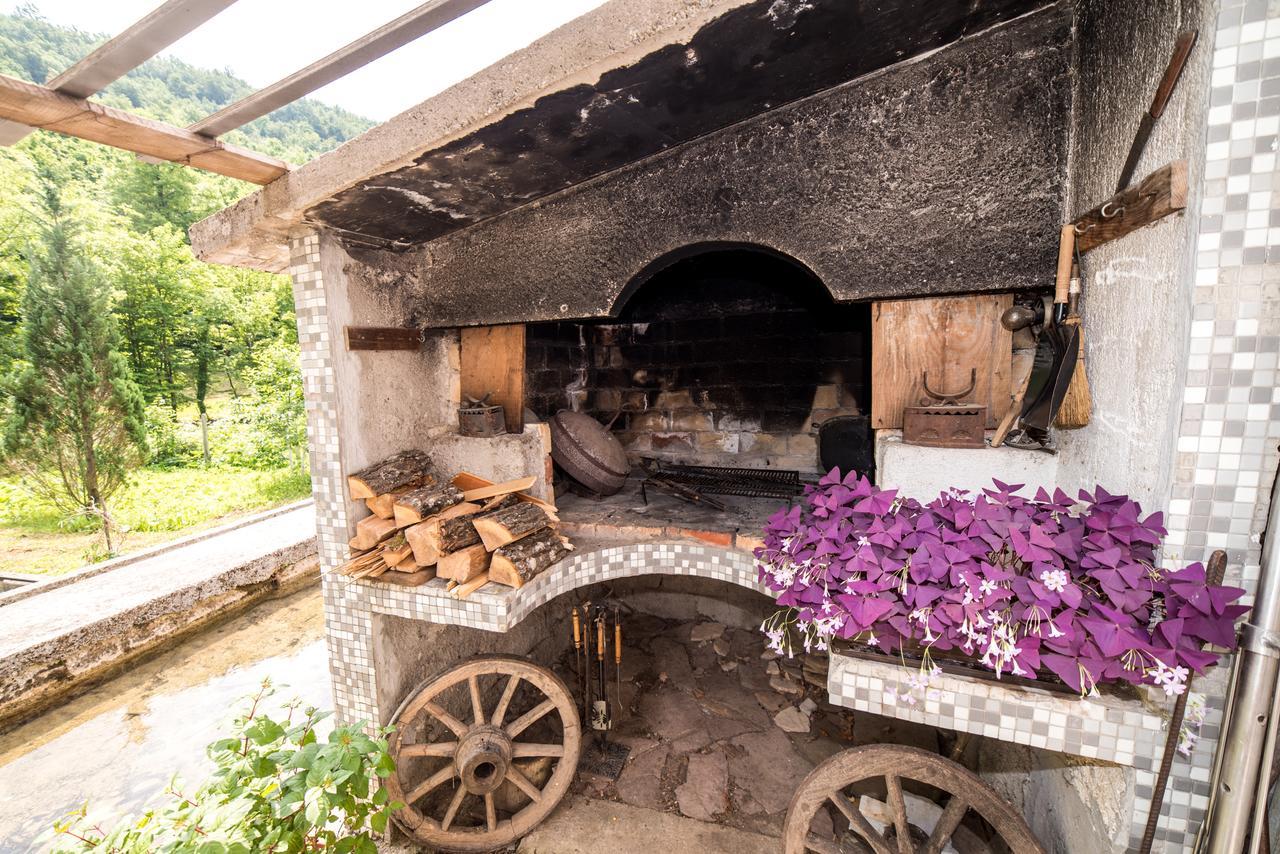Bihać Eko House Dobrenicaヴィラ エクステリア 写真