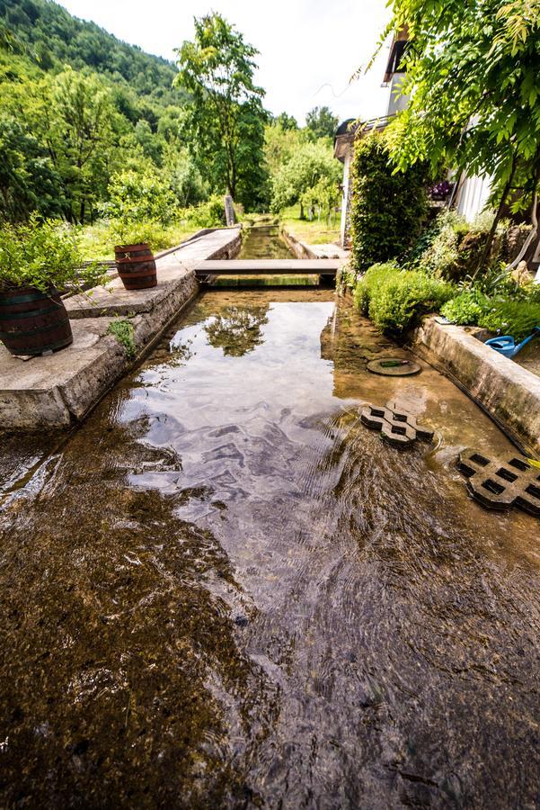 Bihać Eko House Dobrenicaヴィラ エクステリア 写真